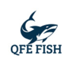 qfe